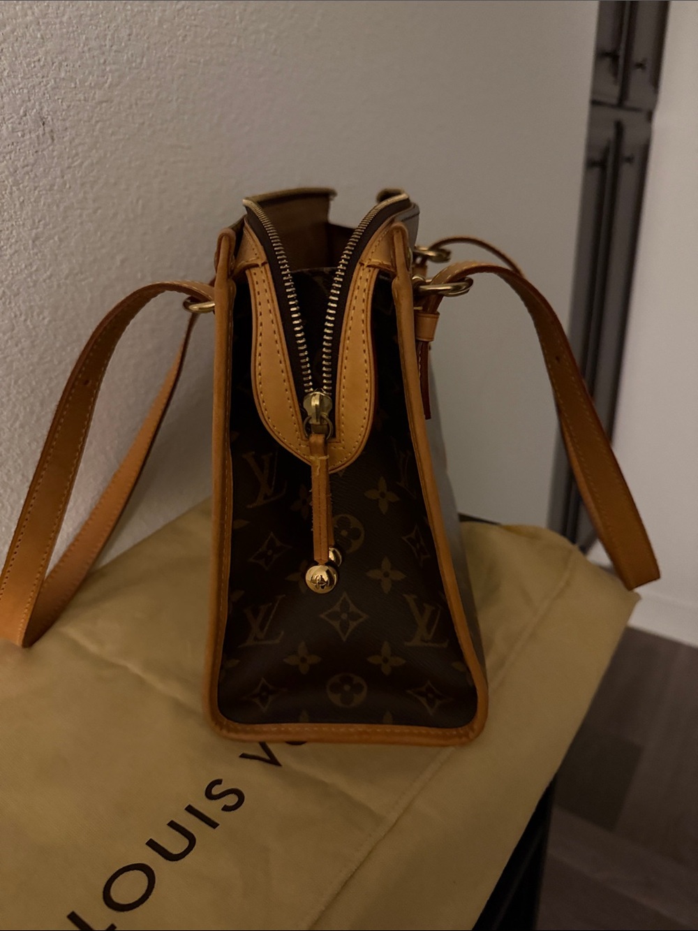 (USED ONCE) Louis Vuitton Monogram Canvas Shoulder Bag with Vachetta Straps - Picture 9 of 9